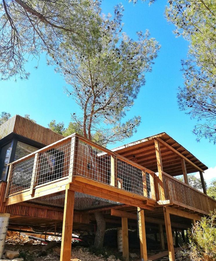 Villa Occitana 卡勒维松 外观 照片