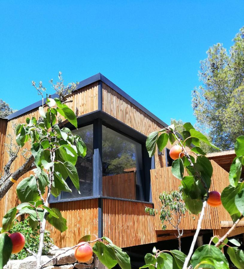 Villa Occitana 卡勒维松 外观 照片